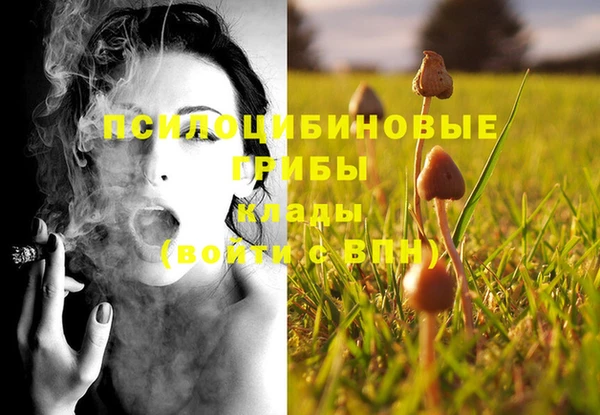 тгк Беломорск