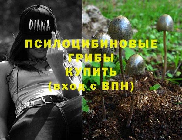 тгк Беломорск